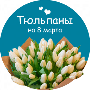 Купить тюльпаны в Невинномысске